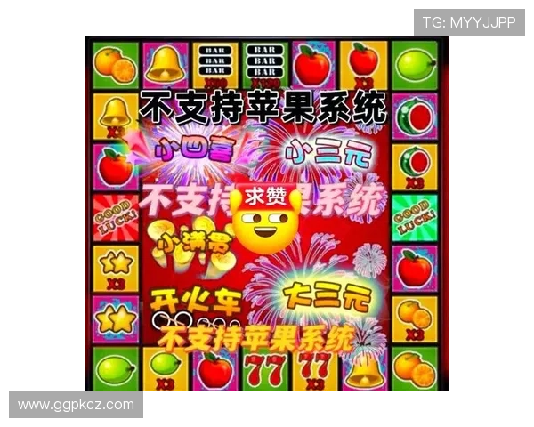 水果老虎机数字站：水果老虎机数字站的技术支持与客户服务体验分享